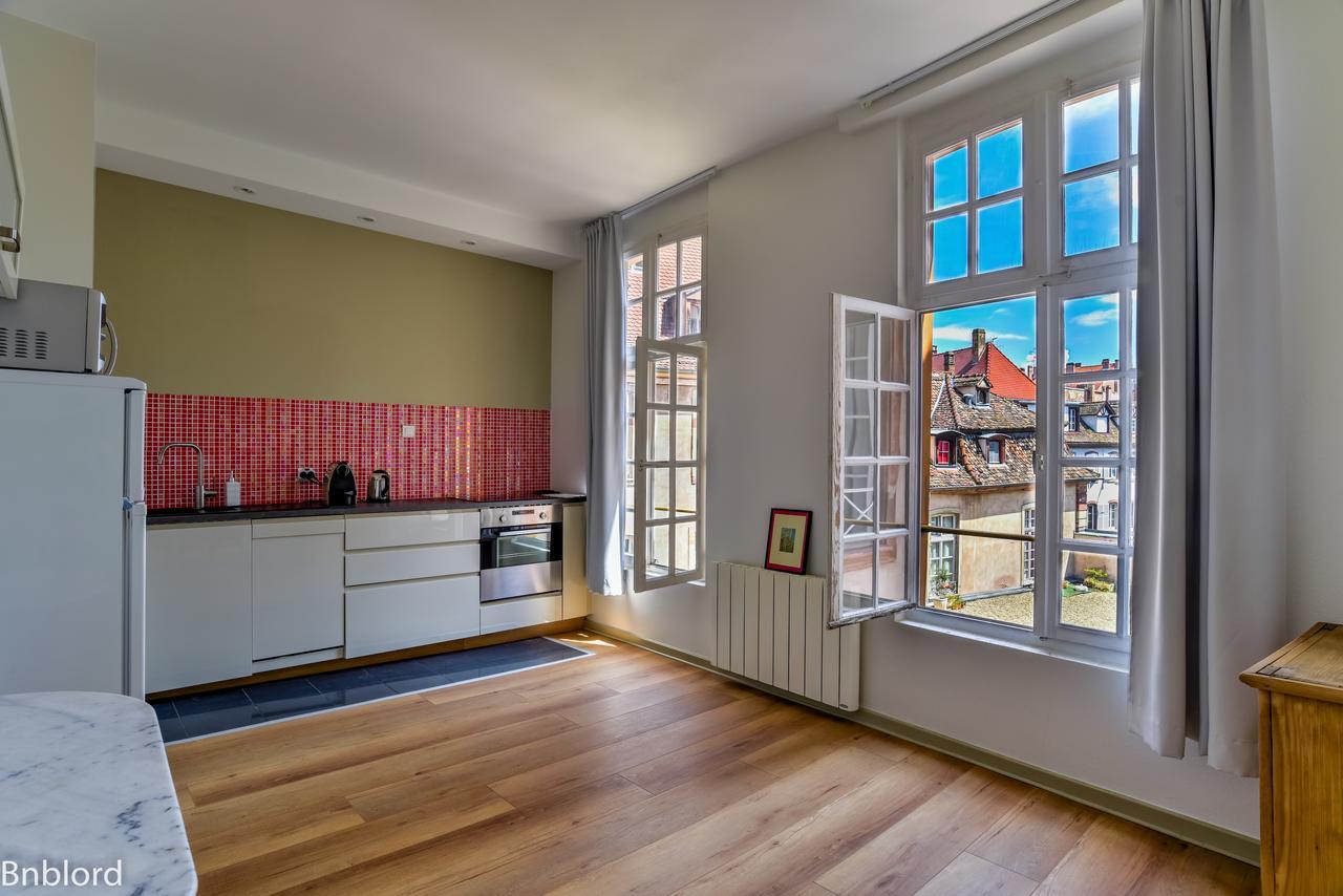 Bel Appartement Hypercentre De Strasbourg Eksteriør bilde