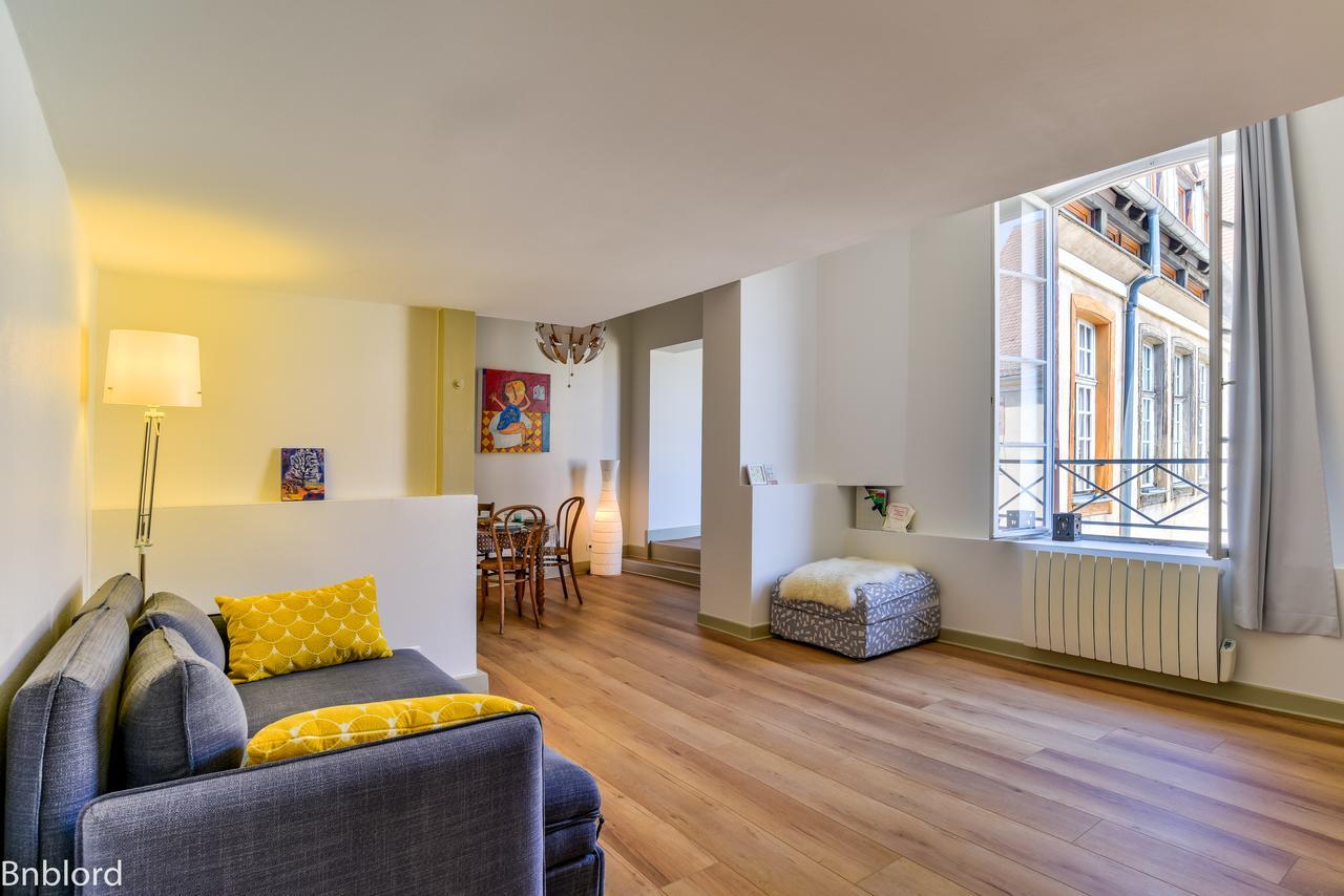 Bel Appartement Hypercentre De Strasbourg Eksteriør bilde